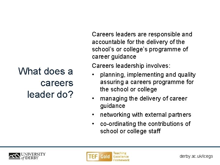 What does a careers leader do? Careers leaders are responsible and accountable for the