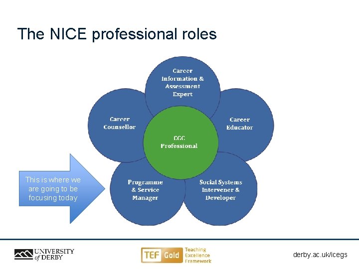 The NICE professional roles This is where we are going to be focusing today