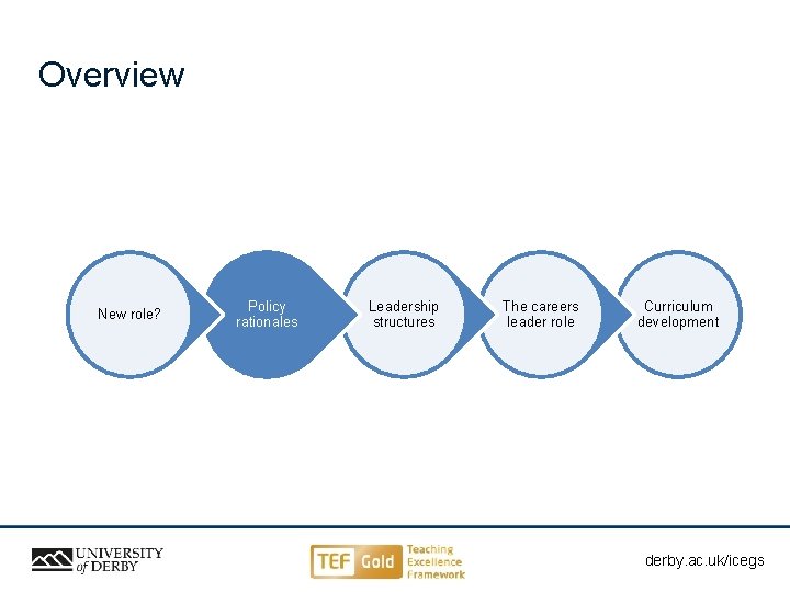 Overview New role? Policy rationales Leadership structures The careers leader role Curriculum development derby.