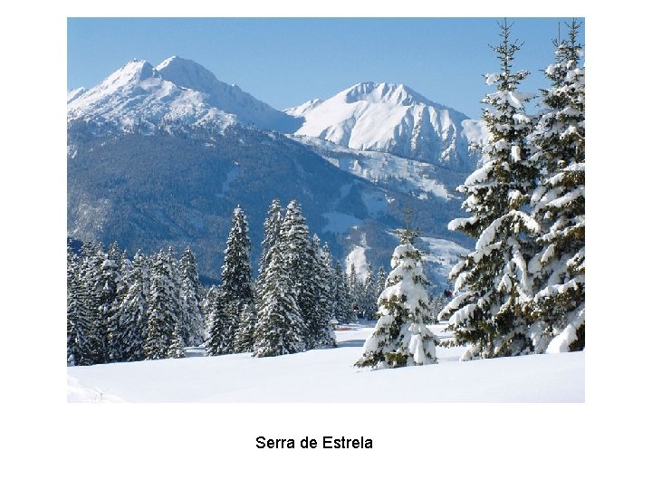 Serra de Estrela 