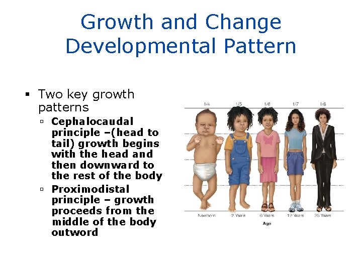 Growth and Change Developmental Pattern Two key growth patterns Cephalocaudal principle –(head to tail)