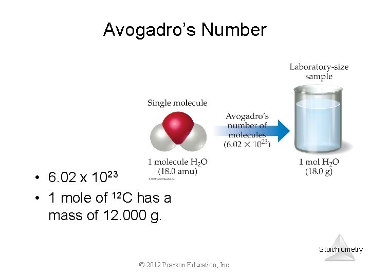 Avogadro’s Number • 6. 02 x 1023 • 1 mole of 12 C has