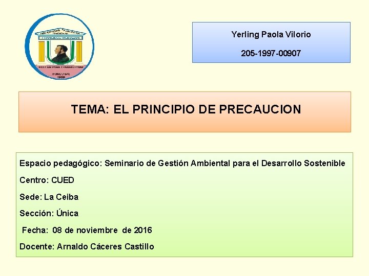 Yerling Paola Vilorio 205 -1997 -00907 TEMA: EL PRINCIPIO DE PRECAUCION Espacio pedagógico: Seminario