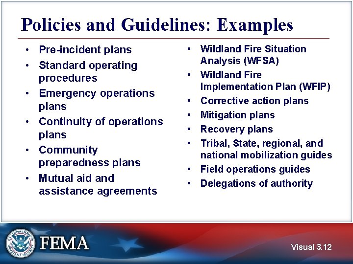 Policies and Guidelines: Examples • Pre-incident plans • Standard operating procedures • Emergency operations