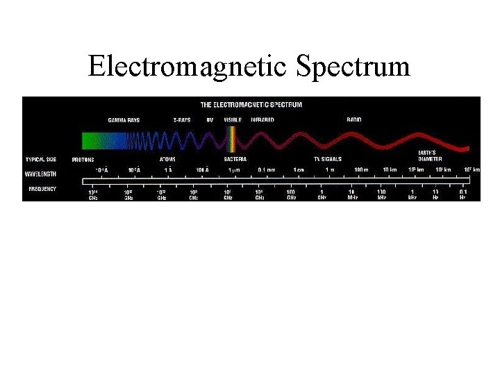 Electromagnetic Spectrum 
