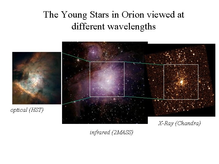 The Young Stars in Orion viewed at different wavelengths optical (HST) X-Ray (Chandra) infrared