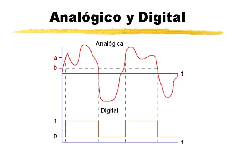 Analógico y Digital 