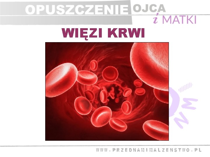 WIĘZI KRWI 