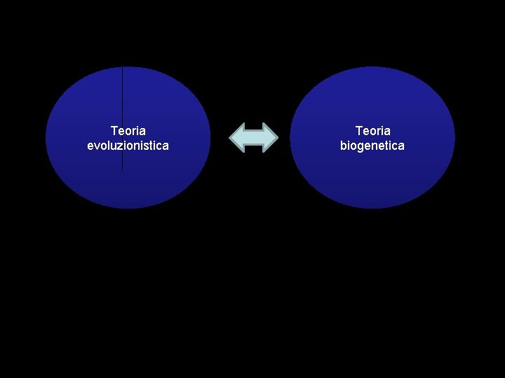 Teoria evoluzionistica Teoria biogenetica 