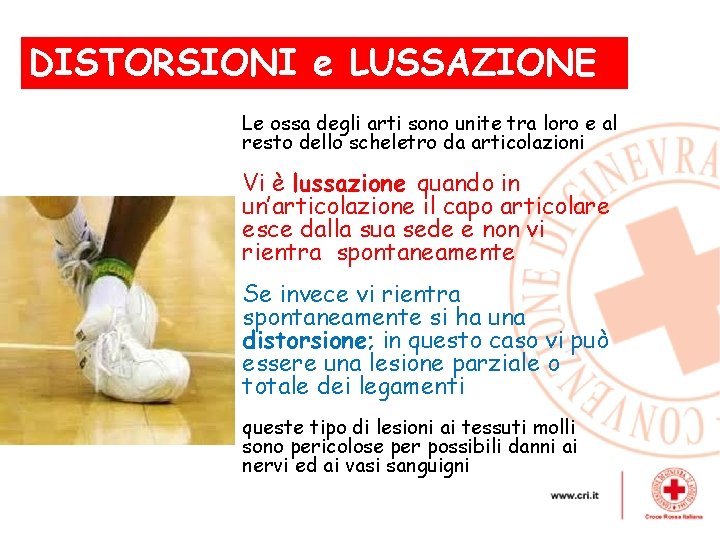 DISTORSIONI e LUSSAZIONE , Le ossa degli arti sono unite tra loro e al