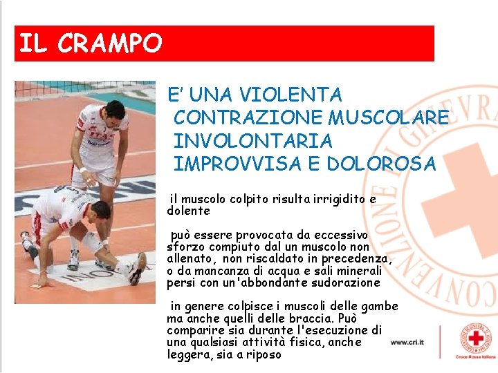 IL CRAMPO , E’ UNA VIOLENTA CONTRAZIONE MUSCOLARE INVOLONTARIA IMPROVVISA E DOLOROSA il muscolo