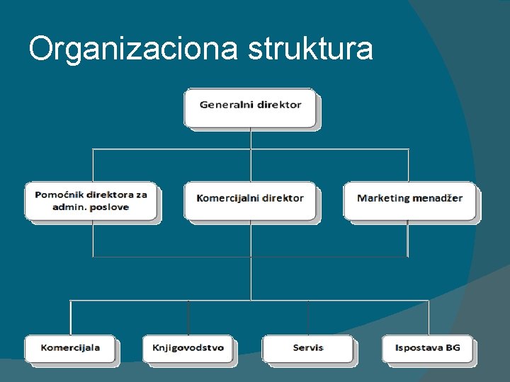 Organizaciona struktura 