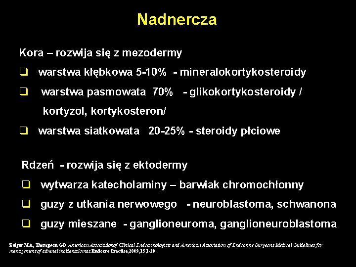 Nadnercza Kora – rozwija się z mezodermy q warstwa kłębkowa 5 -10% - mineralokortykosteroidy