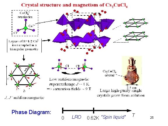 Phase Diagram: 0 LRO 0. 62 K “Spin liquid” T 25 Phase Diagram: 0 LRO 0. 62 K “Spin liquid” T 25