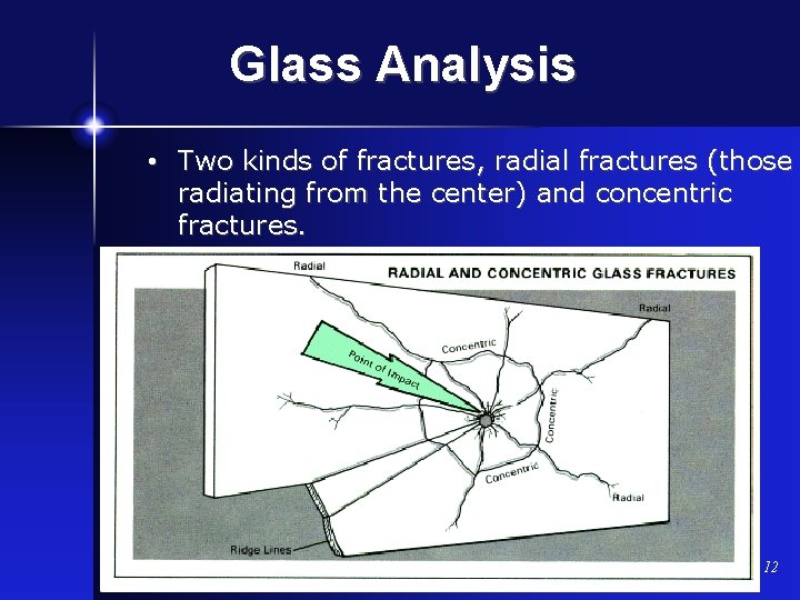 Glass Analysis • Two kinds of fractures, radial fractures (those radiating from the center)