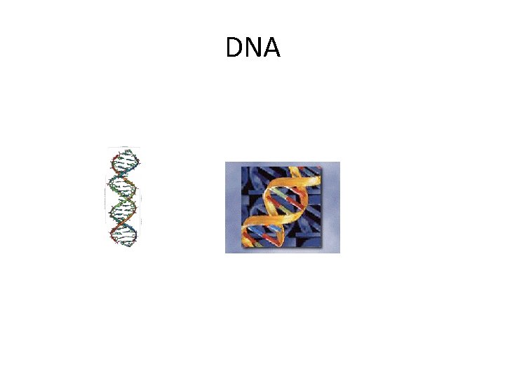 DNA 