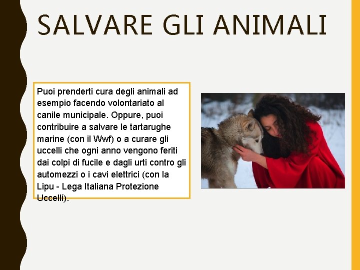 SALVARE GLI ANIMALI Puoi prenderti cura degli animali ad esempio facendo volontariato al canile SALVARE GLI ANIMALI Puoi prenderti cura degli animali ad esempio facendo volontariato al canile