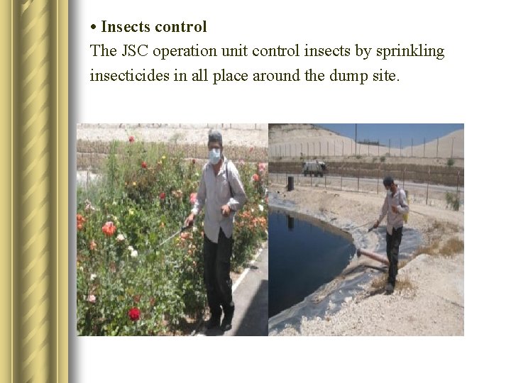  • Insects control The JSC operation unit control insects by sprinkling insecticides in
