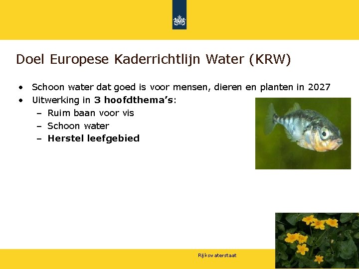 Doel Europese Kaderrichtlijn Water (KRW) • Schoon water dat goed is voor mensen, dieren