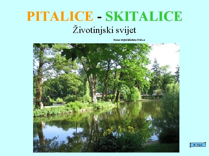 PITALICE - SKITALICE Životinjski svijet Prema knjizi Mladena Kušeca M. Grgić 
