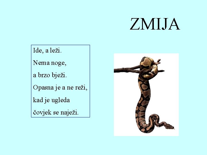 ZMIJA Ide, a leži. Nema noge, a brzo bježi. Opasna je a ne reži, ZMIJA Ide, a leži. Nema noge, a brzo bježi. Opasna je a ne reži,