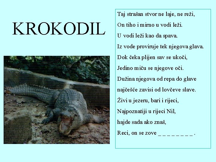 Taj strašan stvor ne laje, ne reži, KROKODIL On tiho i mirno u vodi