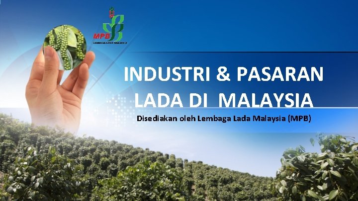 INDUSTRI & PASARAN LADA DI MALAYSIA Disediakan oleh Lembaga Lada Malaysia (MPB) 
