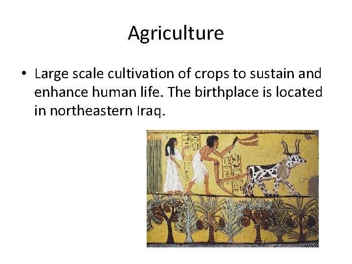 Agriculture • Large scale cultivation of crops to sustain and enhance human life. The