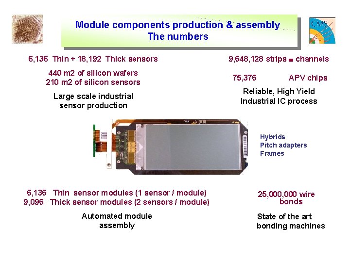 Module components production & assembly The numbers 6, 136 Thin + 18, 192 Thick