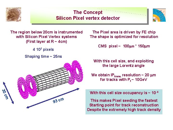 The Concept Silicon Pixel vertex detector The region below 20 cm is instrumented with