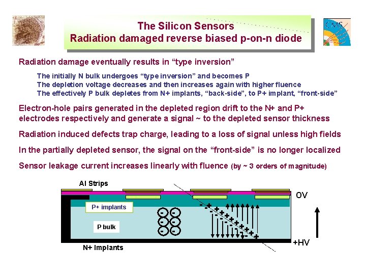 The Silicon Sensors Radiation damaged reverse biased p-on-n diode Radiation damage eventually results in