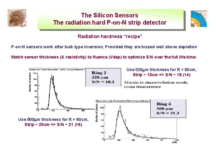 The Silicon Sensors The radiation hard P-on-N strip detector Radiation hardness “recipe” P-on-N sensors