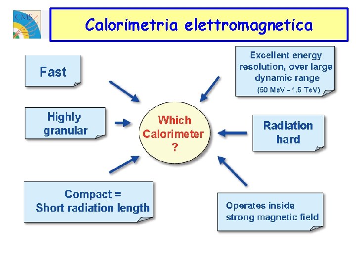 Calorimetria elettromagnetica 