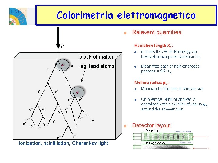 Calorimetria elettromagnetica 