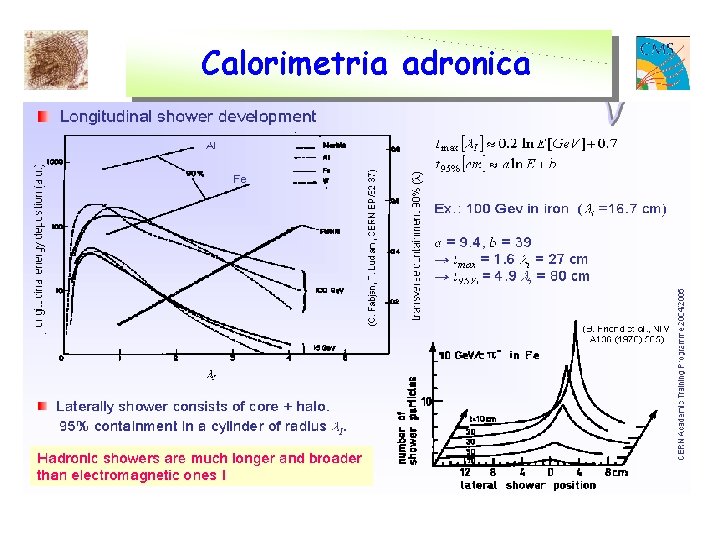 Calorimetria adronica 