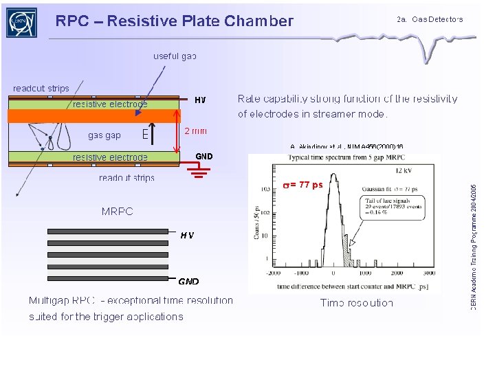 Muon Detectors 