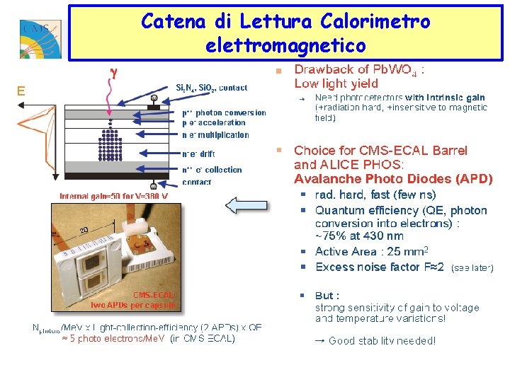 Catena di Lettura Calorimetro elettromagnetico 