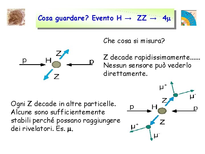 Cosa guardare? Evento H → ZZ → 4 Che cosa si misura? Z decade