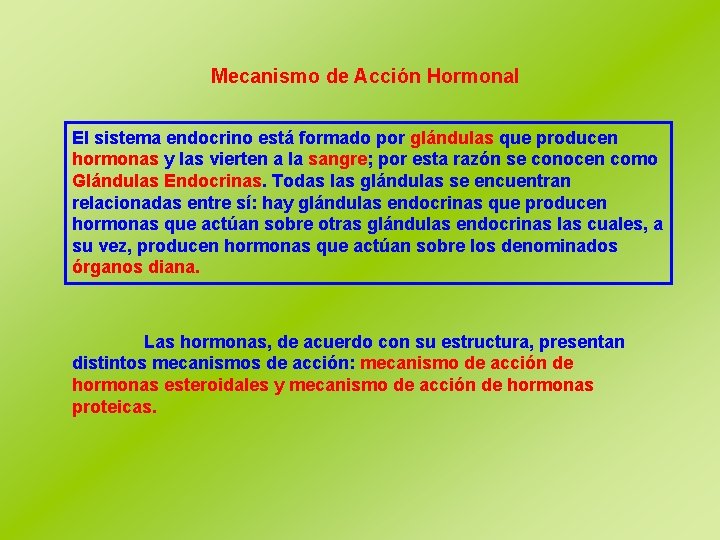 Mecanismo de Acción Hormonal El sistema endocrino está formado por glándulas que producen hormonas