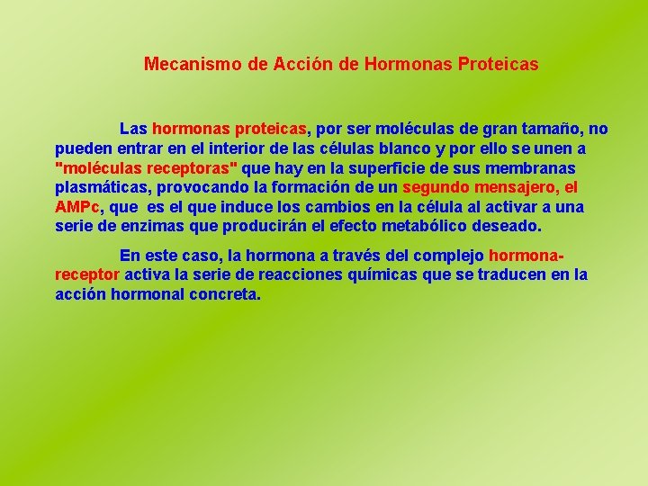 Mecanismo de Acción de Hormonas Proteicas Las hormonas proteicas, por ser moléculas de gran