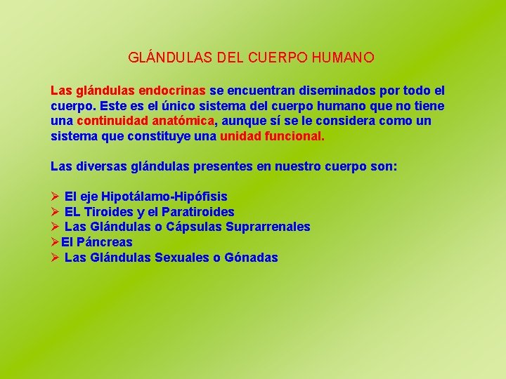 GLÁNDULAS DEL CUERPO HUMANO Las glándulas endocrinas se encuentran diseminados por todo el cuerpo.