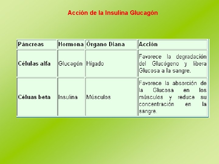 Acción de la Insulina Glucagón 