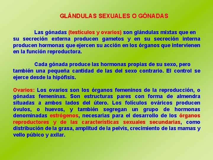 GLÁNDULAS SEXUALES O GÓNADAS Las gónadas (testículos y ovarios) son glándulas mixtas que en