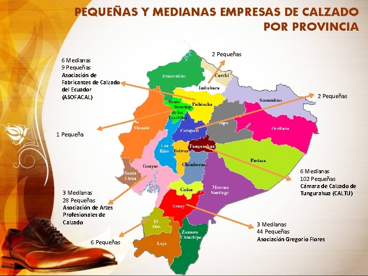 PEQUEÑAS Y MEDIANAS EMPRESAS DE CALZADO POR PROVINCIA 6 Medianas 9 Pequeñas Asociación de