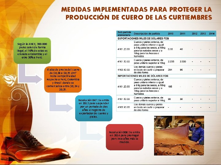 MEDIDAS IMPLEMENTADAS PARA PROTEGER LA PRODUCCIÓN DE CUERO DE LAS CURTIEMBRES Según la ANCE,