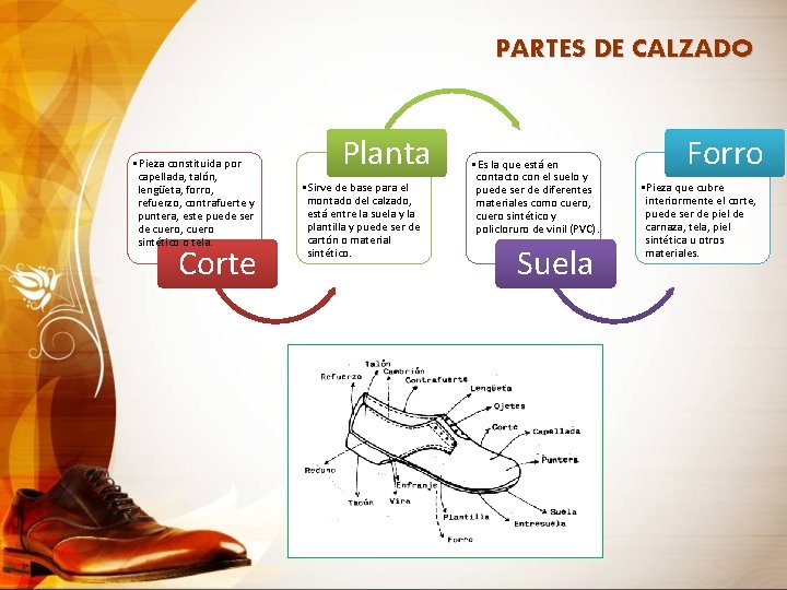 PARTES DE CALZADO • Pieza constituida por capellada, talón, lengüeta, forro, refuerzo, contrafuerte y