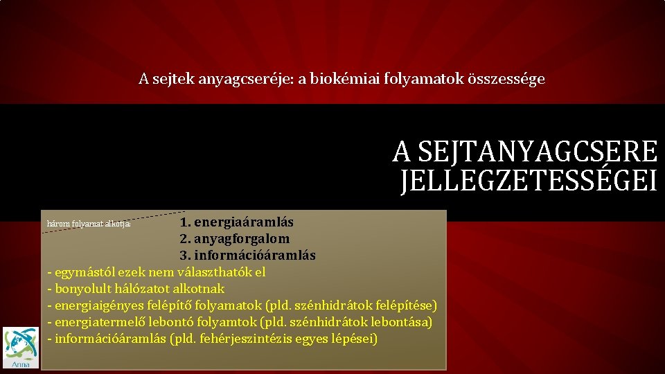 A sejtek anyagcseréje: a biokémiai folyamatok összessége A SEJTANYAGCSERE JELLEGZETESSÉGEI 1. energiaáramlás 2. anyagforgalom