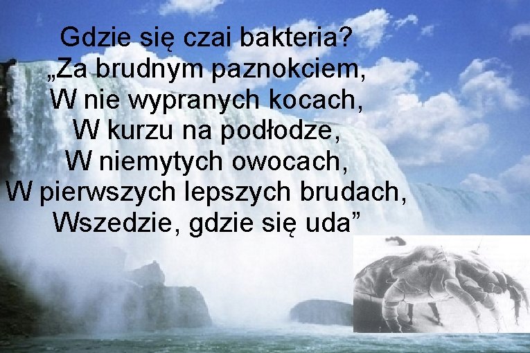 Gdzie się czai bakteria? „Za brudnym paznokciem, W nie wypranych kocach, W kurzu na