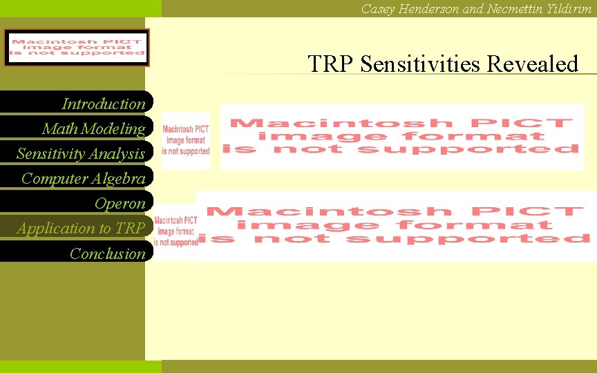 Casey Henderson and Necmettin Yildirim NCF LOGO Introduction Math Modeling Sensitivity Analysis Computer Algebra
