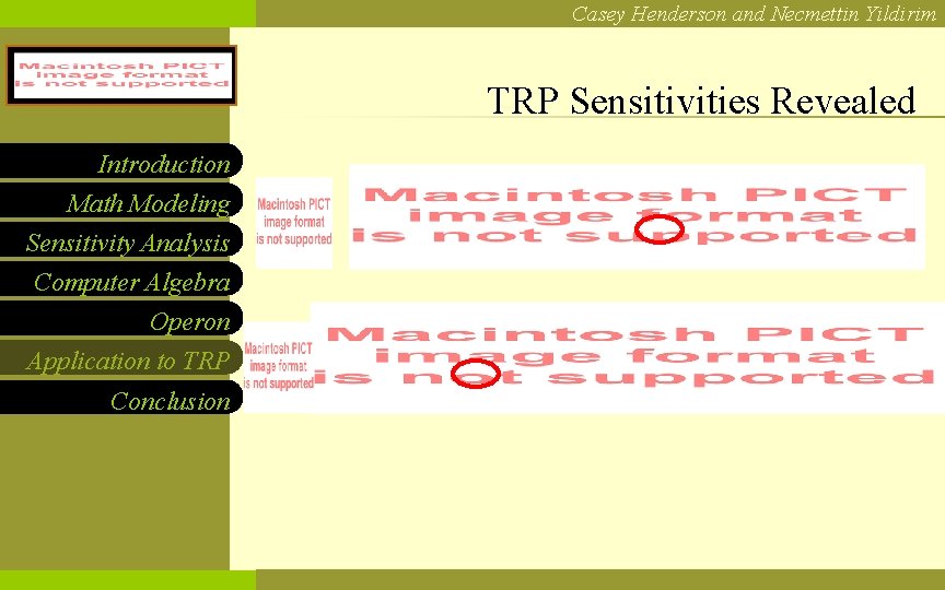 Casey Henderson and Necmettin Yildirim NCF LOGO Introduction Math Modeling Sensitivity Analysis Computer Algebra
